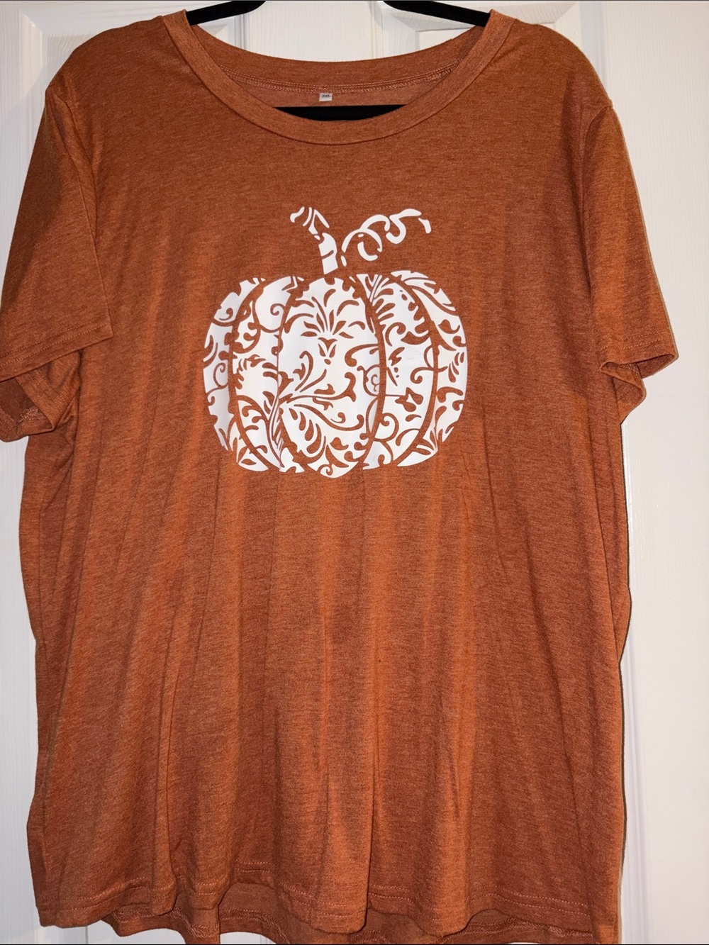 Women's Burnt Orange Pumpkin Graphic Short Sleeve Tee